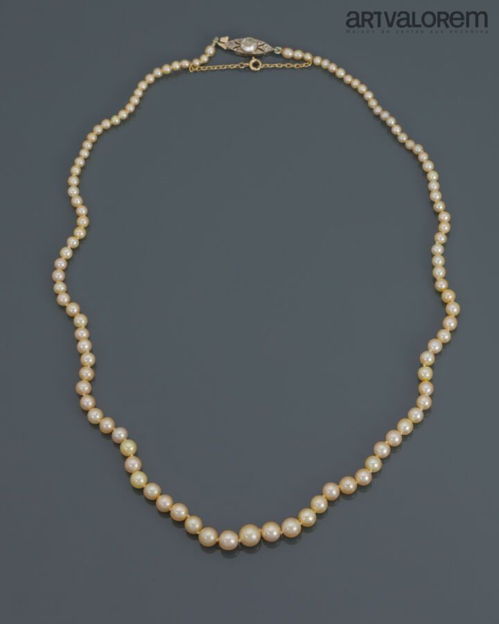 Null Collier composé de perles de cultures et probablement fines, fermoir en or &hellip;