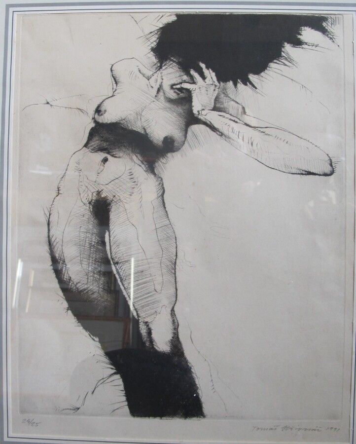 Null Tomas Hrivnac (XXe)

Femme nue 

Lithographie signée et datée 1991 et numér&hellip;