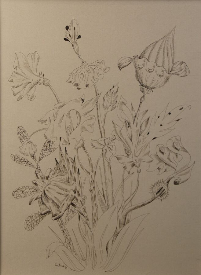 Null 库图-吕西安(1904-1977)

花，1939年。

纸上钢笔和棕色墨水，左下角有签名和日期。

31x22.5厘米。