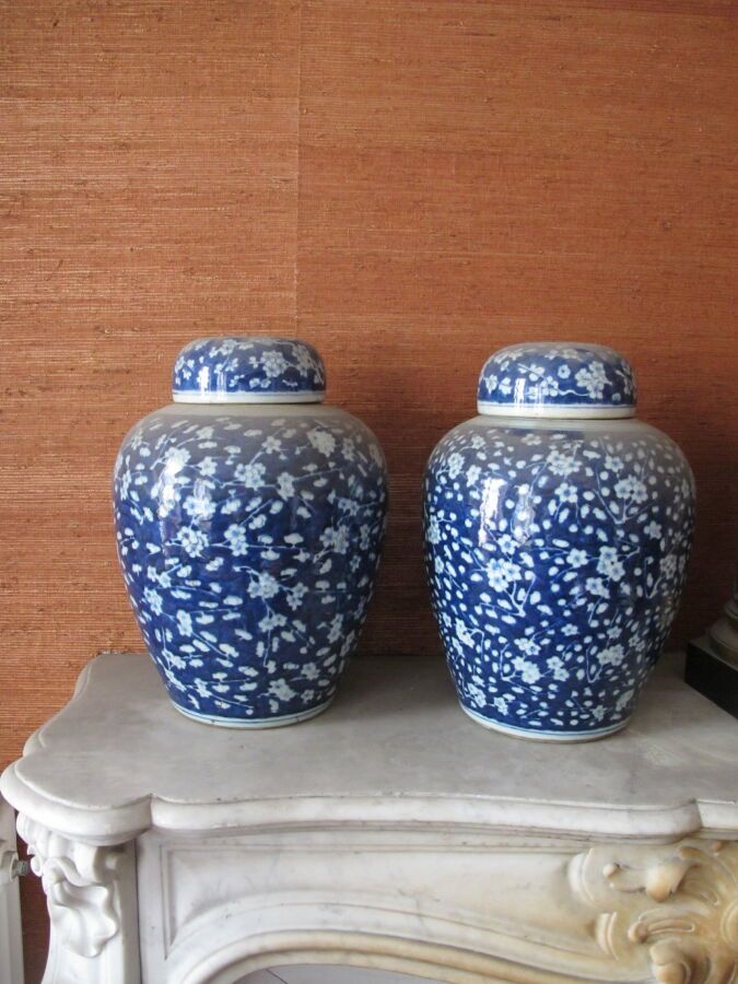 Null 中国，19世纪末-20世纪初。

一对蓝白相间的樱花图案的珐琅彩瓷姜壶。

H.38厘米（有一个破损并粘在后面）。