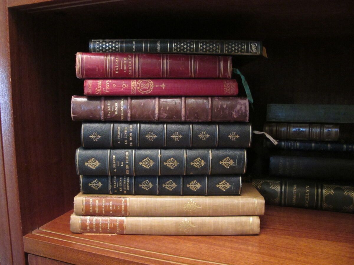 Null Lot of 19th century bound books