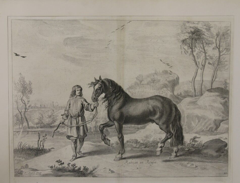 Null 纽卡斯尔（威廉-卡文迪什，侯爵和伯爵），摄于范-迪彭贝克之后

纽卡斯尔侯爵作品中的三幅蚀刻画，训练马匹的方法和新发明，图2、图10、图12

约41&hellip;
