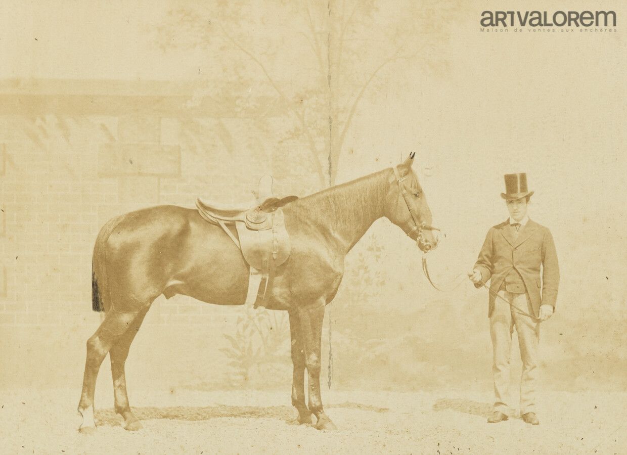 Null 骑行，骑手和马。约1880年

两幅装裱在纸板上的蛋白打印作品，已装裱。

背面：标签 "Wanderberg & fils ainé - doreu&hellip;