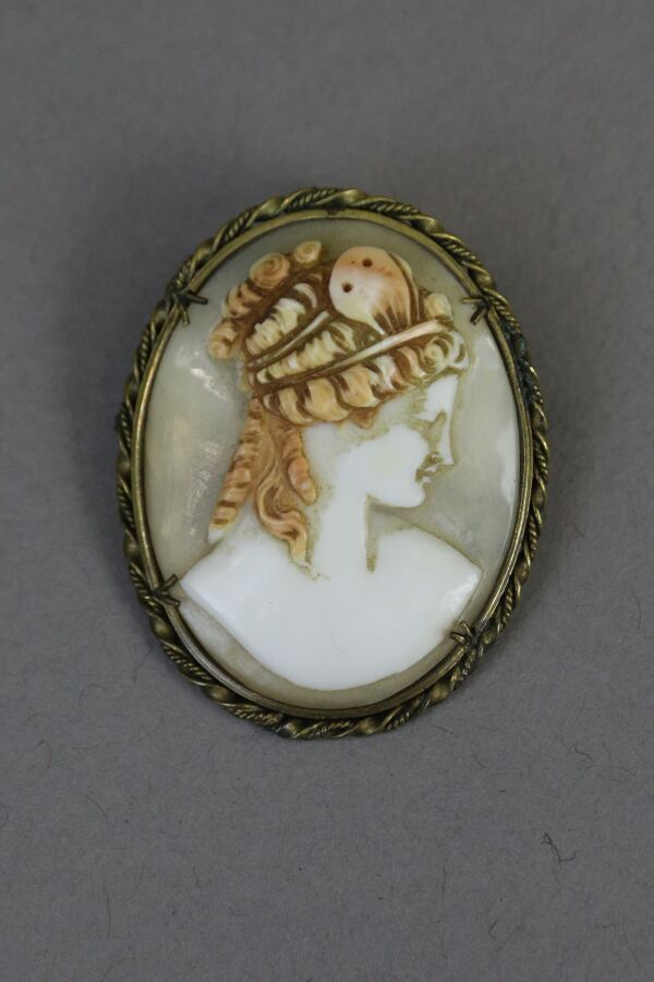Null 一枚金属胸针吊坠，上面有一个贝壳浮雕，代表一个有古董发型的女人。