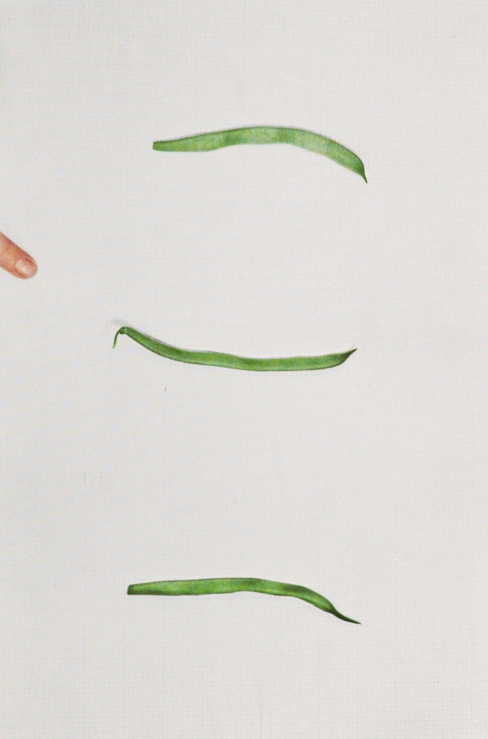 Baldessari, John Choosing: Green Beans. Mit 9 Farbtafeln. Mailand, Toselli, 1972&hellip;