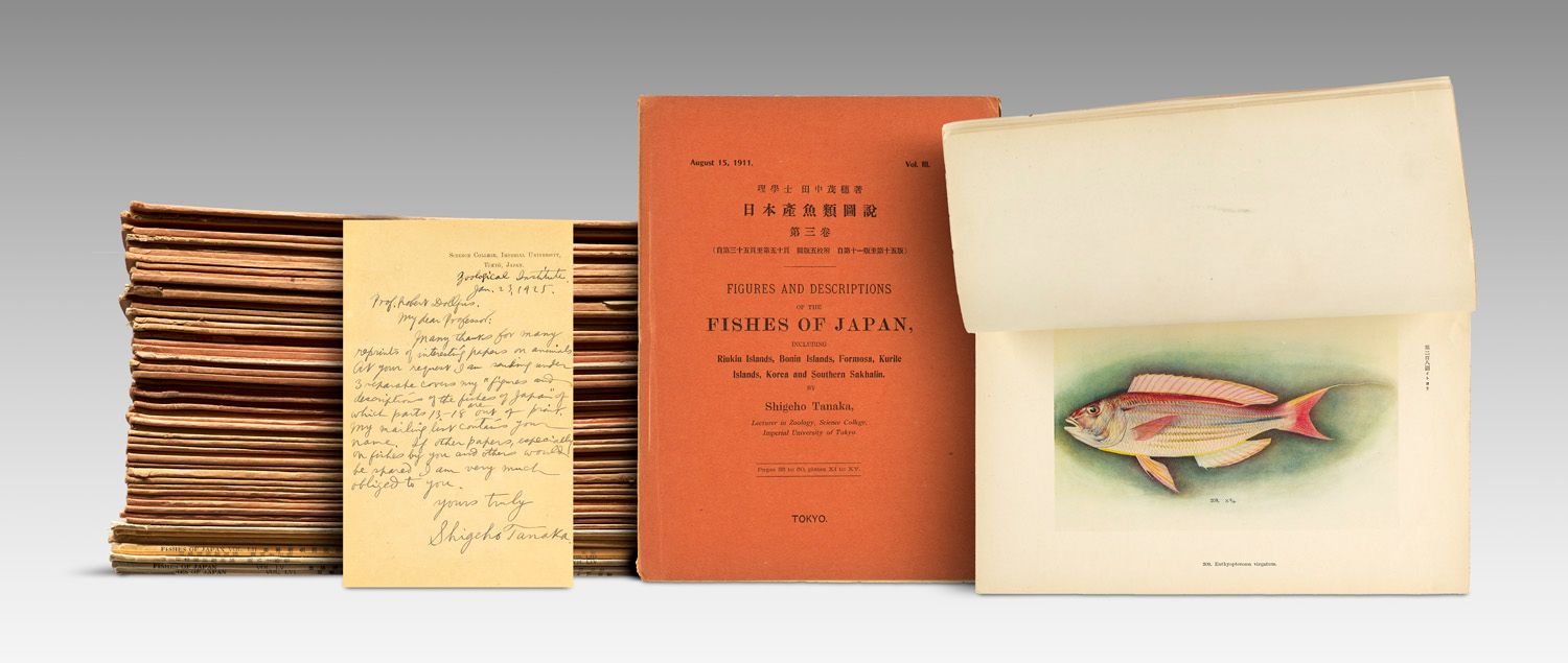 Tanaka, Shihego Fishes of Japan, including Riuiu Islands, Bonin Islands, Formosa&hellip;