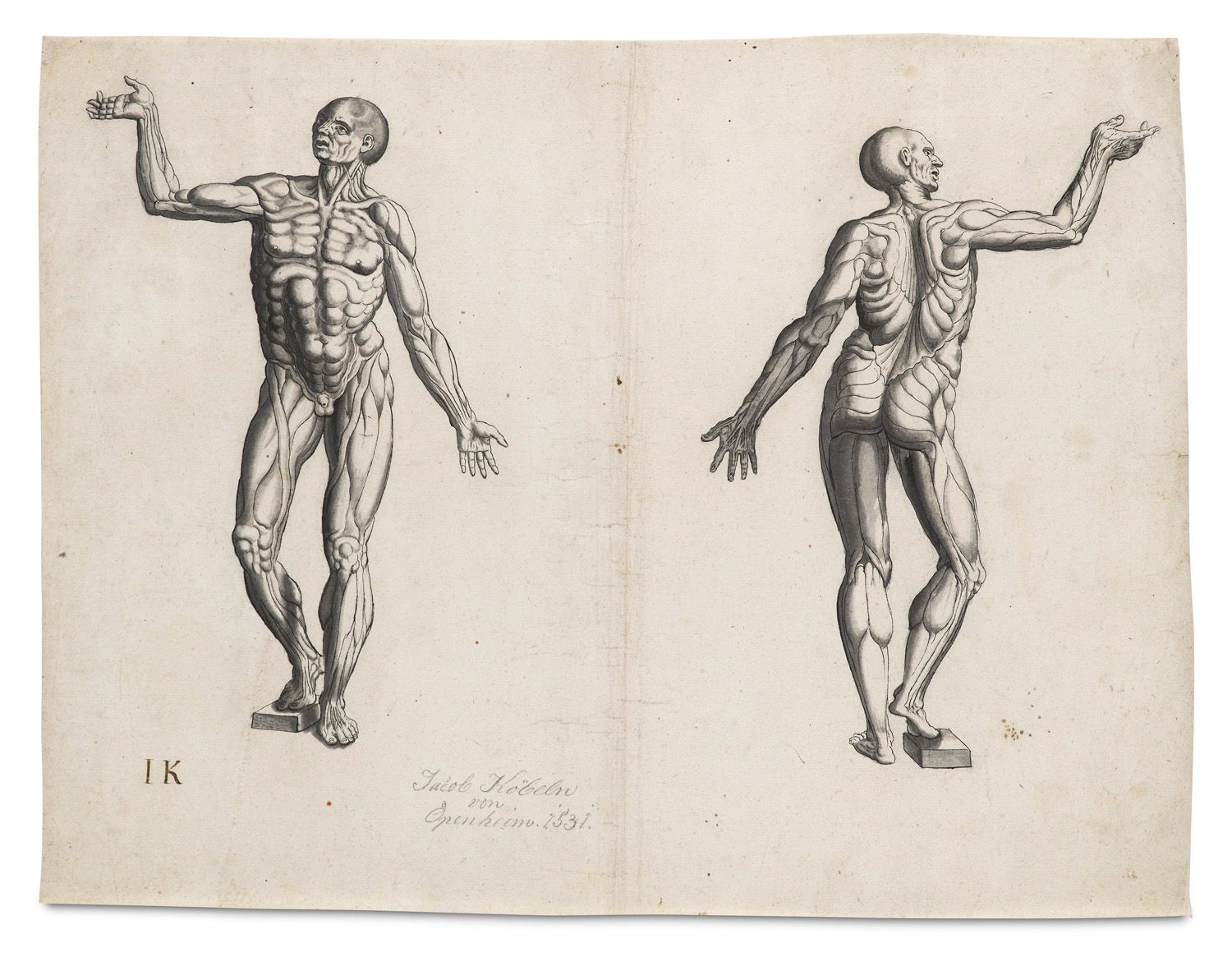 Kallenberg, Jakob Zwei Zeichnungen auf einem Blatt mit anatomischen Darstellunge&hellip;