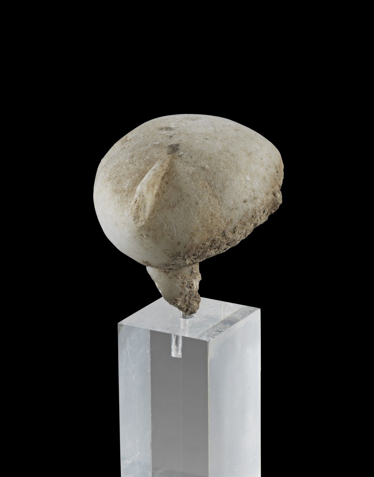 Kopf eines Kiliya-Idols. 基里亚神像的头部。西亚，约公元前2700-2400/2300，高约3.4厘米，宽3.6厘米，长约3.9厘米。白&hellip;