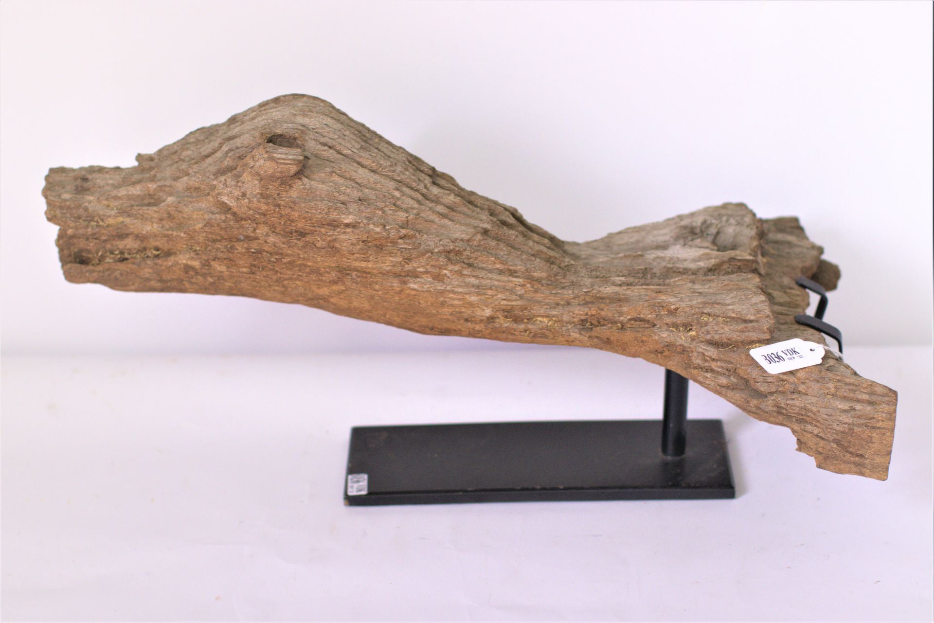 Null Figure de proue d'ossuaire en bois dur. Bornéo. Epoque : XIXème.