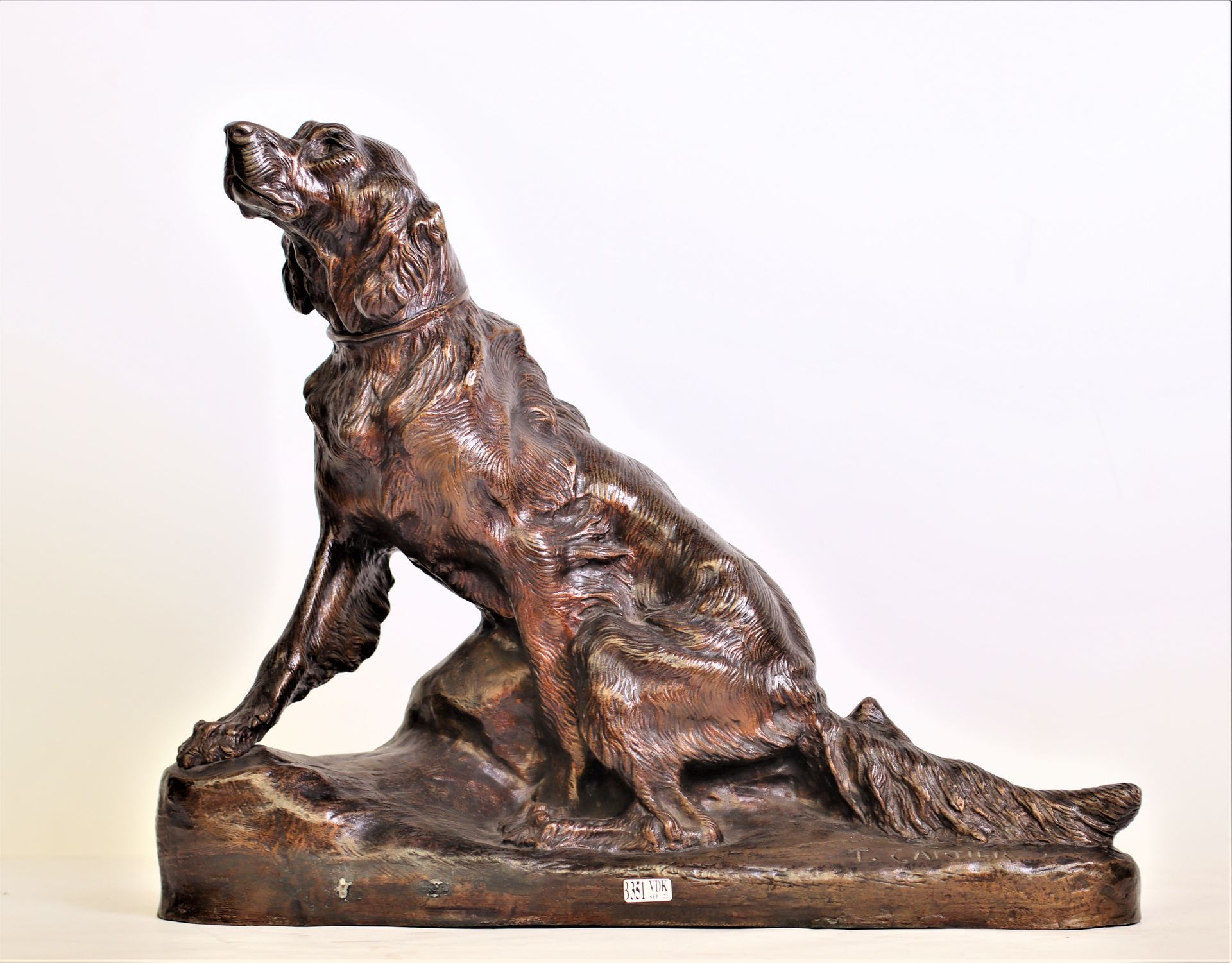 CARTIER Thomas Francois (1879 - 1943) "坐着的猎狗"，青铜材质，有褐色的铜锈。签署了T。卡地亚。法国学校。长：+/-55厘&hellip;