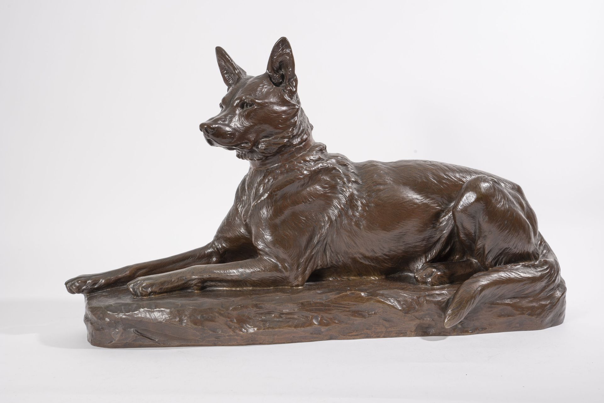D'après Louis RICHE (1877-1949) 德国牧羊犬。

铜质证明，带有棕色铜锈。

在露台上签名。

35 x 50厘米。

磨损的铜锈&hellip;