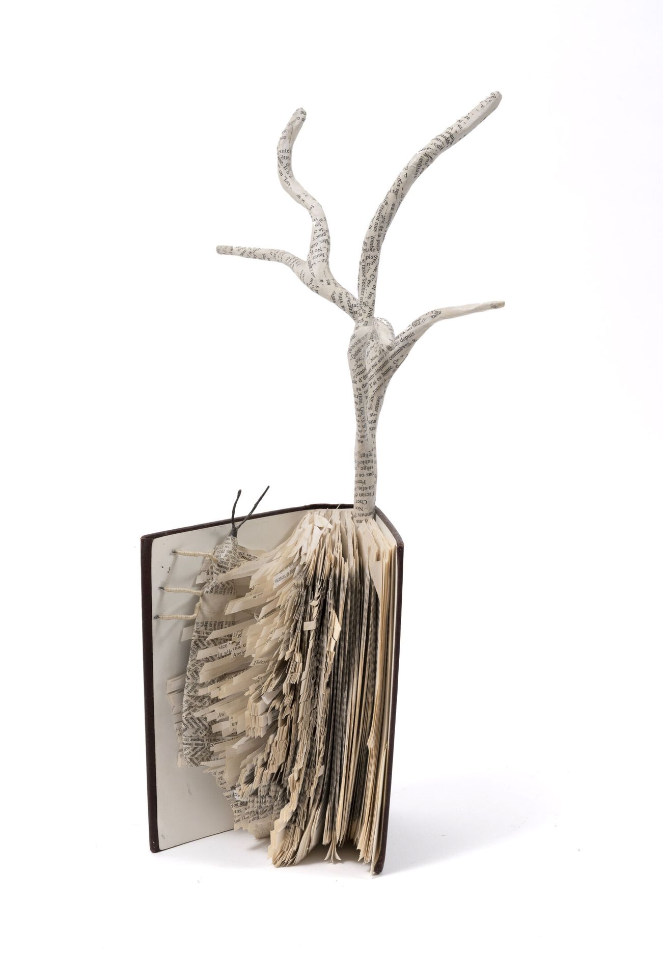 Laurence LEHEL (1967) Insect in his book.

Mixed media.

H. 39 cm high.



A cer&hellip;