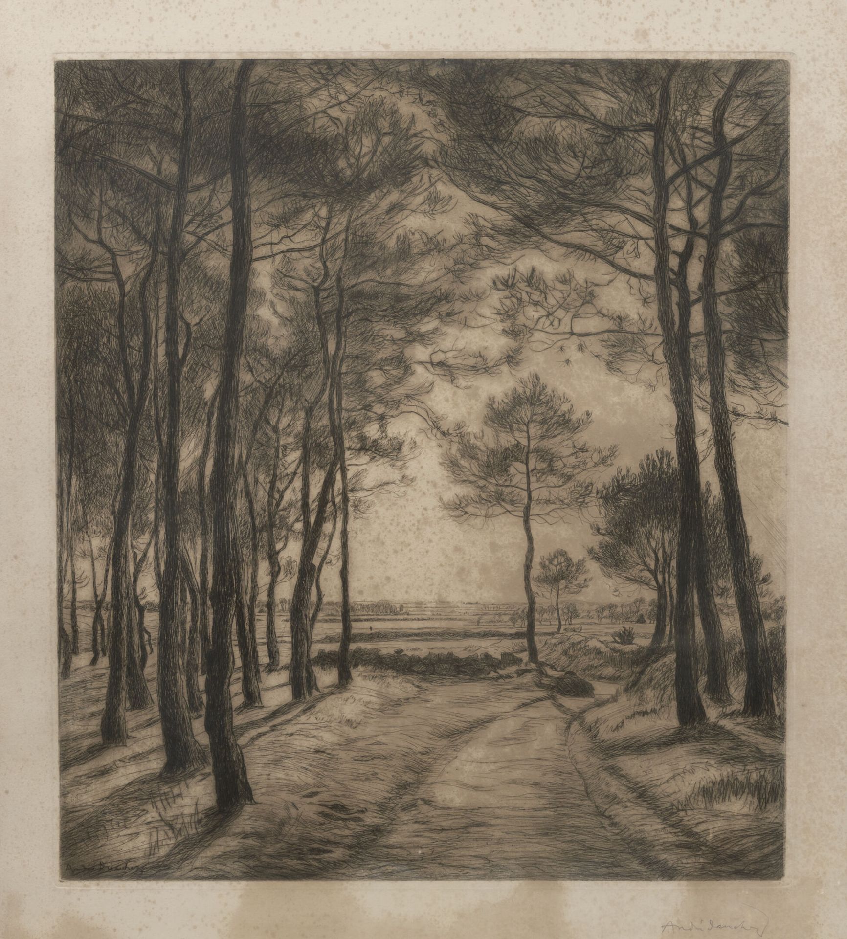 André DAUCHEZ (1870-1948) Paysage de sous-bois. 
Lithographie.
Signée en bas à g&hellip;