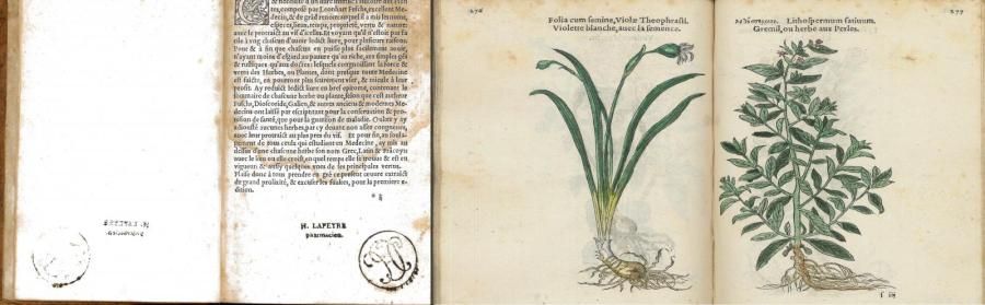 FUCHS, LÉONARD 

Histoire des plantes avec les noms Grecs, Latin, & Fráçoys.

Im&hellip;