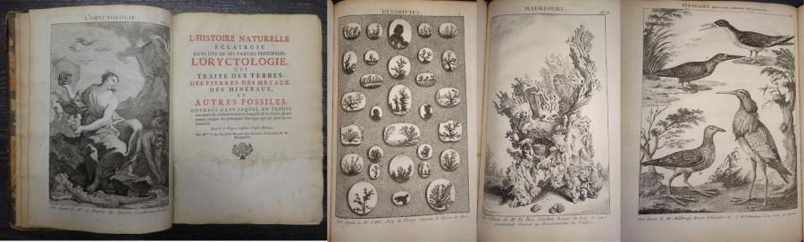 Antoine-Joseph DEZALLIER D'ARGENVILLE 

L'Histoire Naturelle éclaircie dans une &hellip;