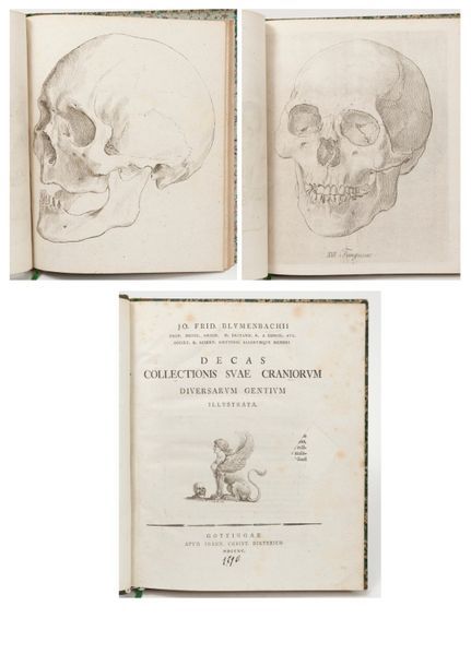 J. O. FRID. BLUMENBACHII 
Decas Collection suae craniorum diversarum gentium ill&hellip;