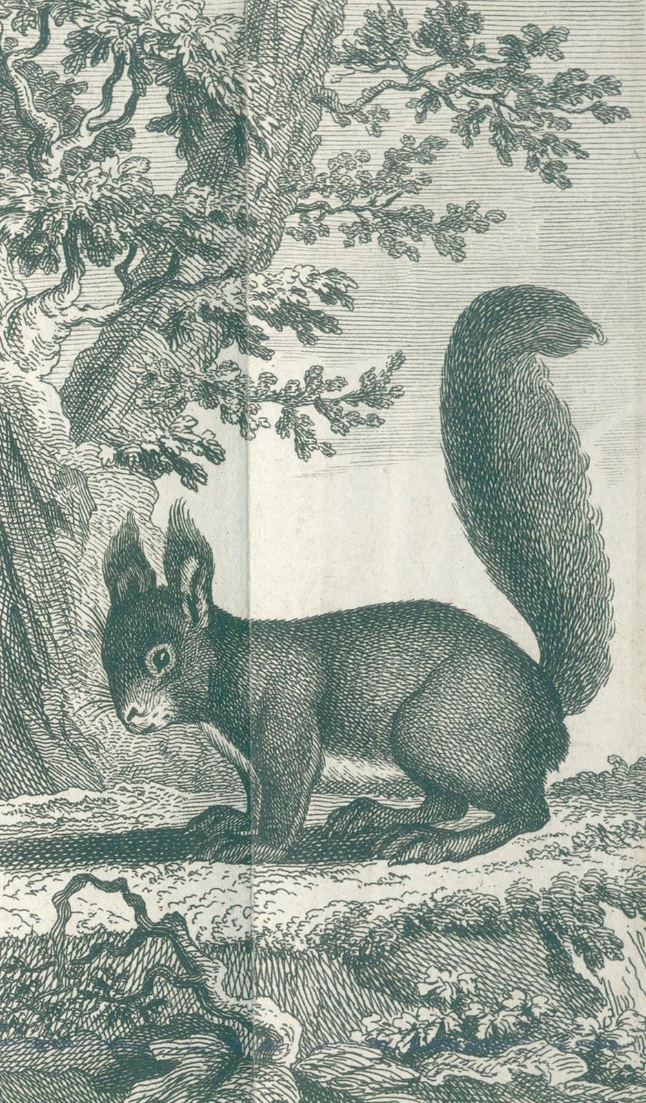 Buffon,(G.L.L.)de. Natural history of quadrupedal animals. 10 vols. Of the serie&hellip;