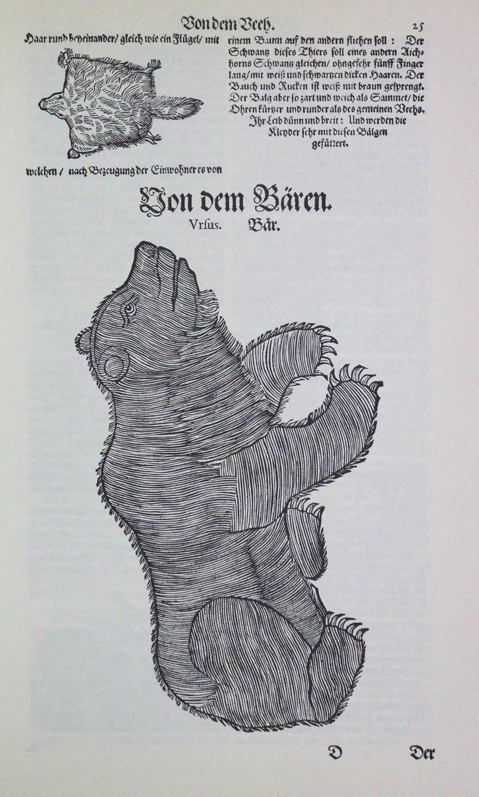 Gessner,C. Thierbuch; Vogelbuch; Fischbuch. 3 Bde. Reprint der Ausg. Ffm. 1669. &hellip;