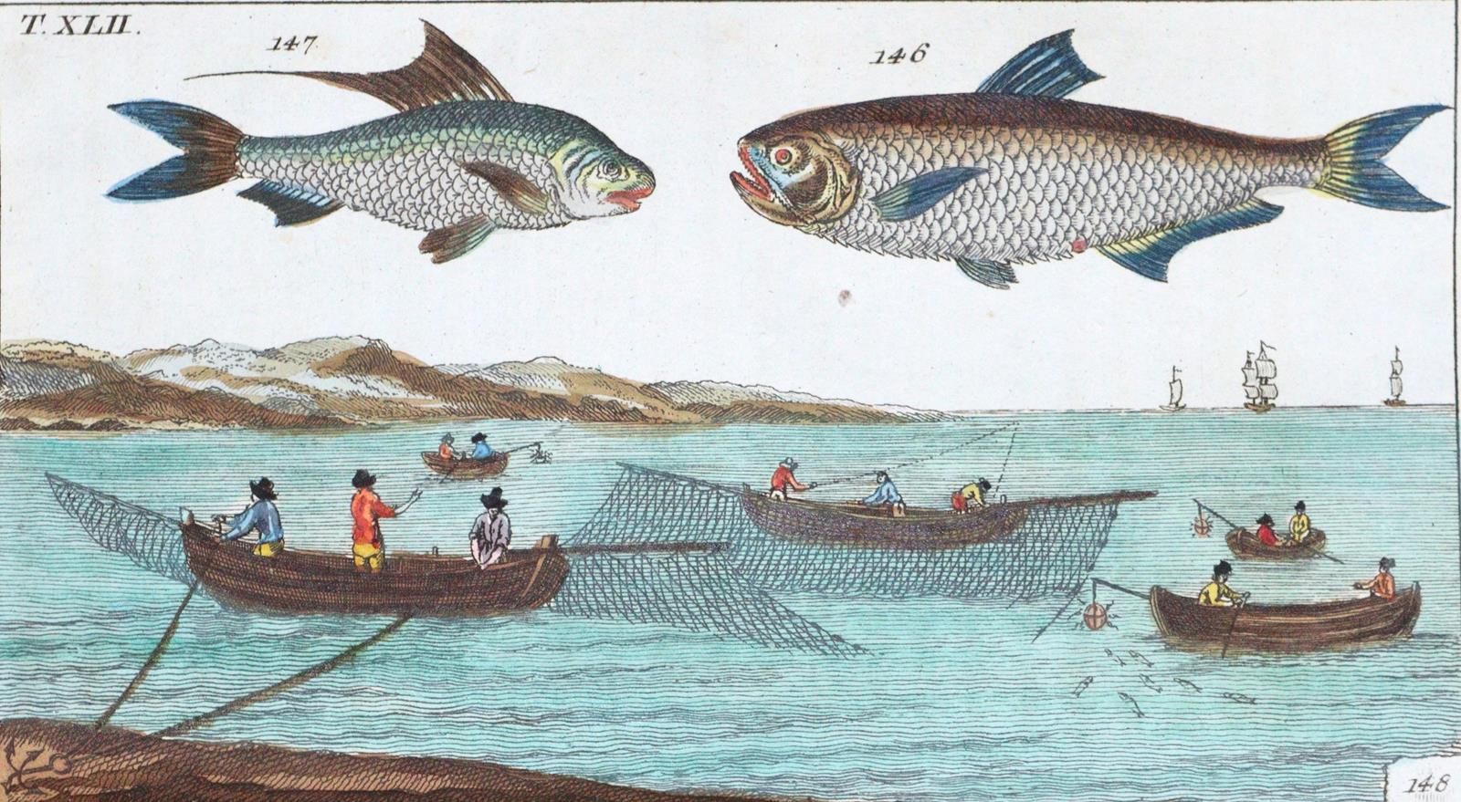 (Wilhelm,G.T.). Unterhaltungen aus der Naturgeschichte. Der Fische zweyter Theil&hellip;