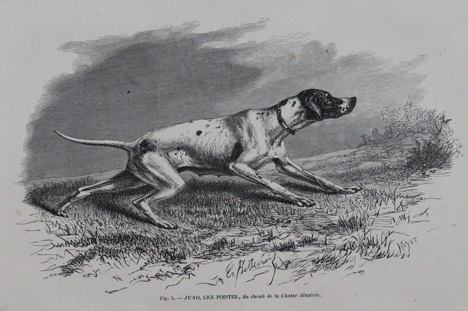 De la Rue,A. U.A. Les Chiens d'Arret francais et anglais.巴黎，Firmin Didot 1881年，4&hellip;