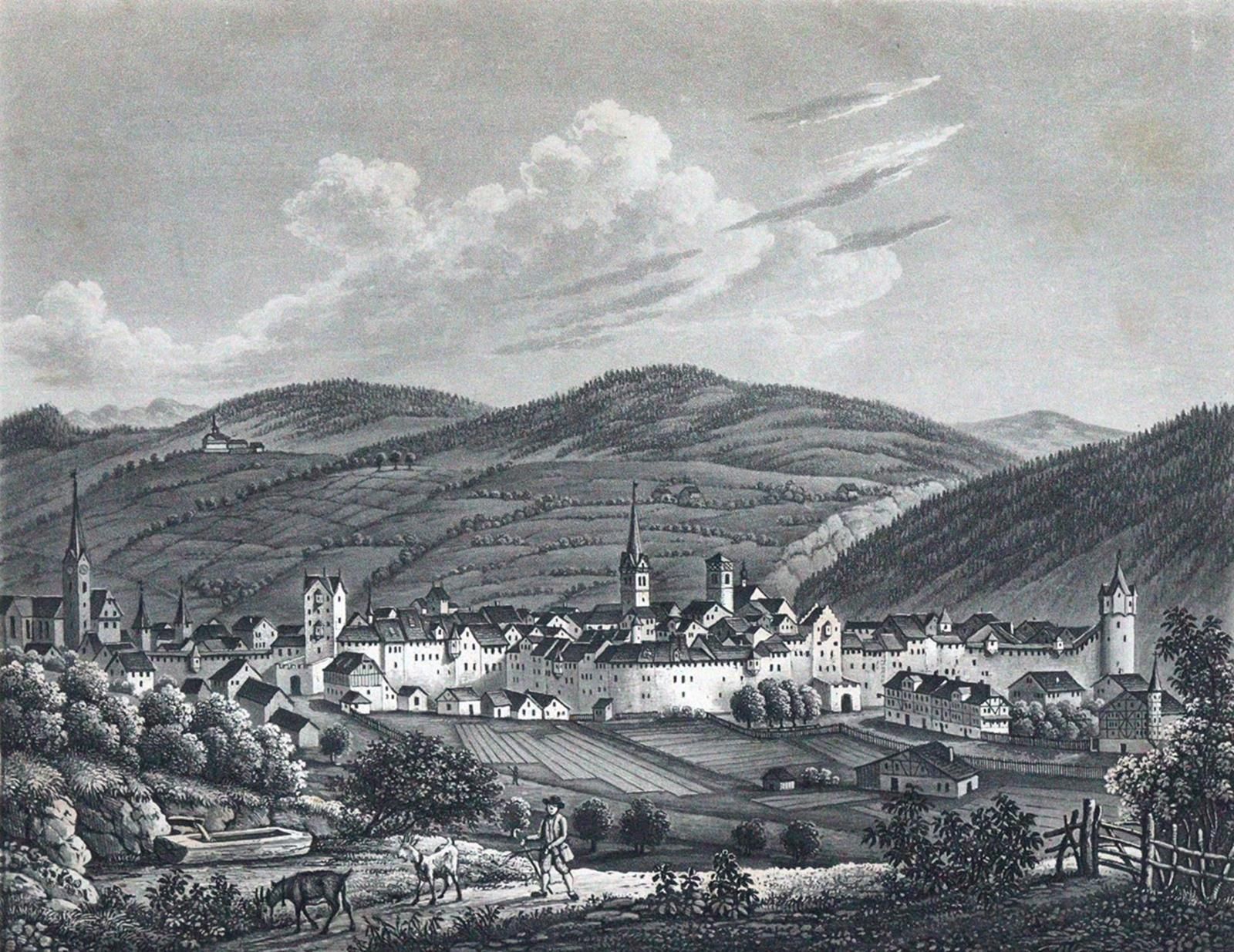 Naef,A. Chronik oder Denkwürdigkeiten der Stadt und Landschaft St. Gallen. Mit I&hellip;