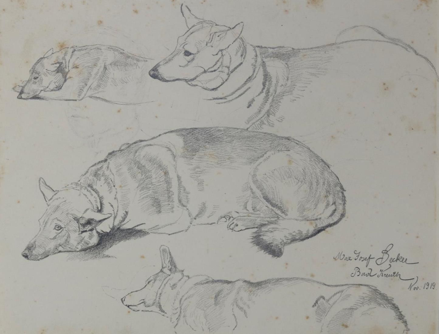 Becker, Max Josef (1890年 慕尼黑 1971年)。9页，主要有动物。水墨（7），铅笔画和水彩画，约1918-1919年。在Qu.8°和Qu&hellip;