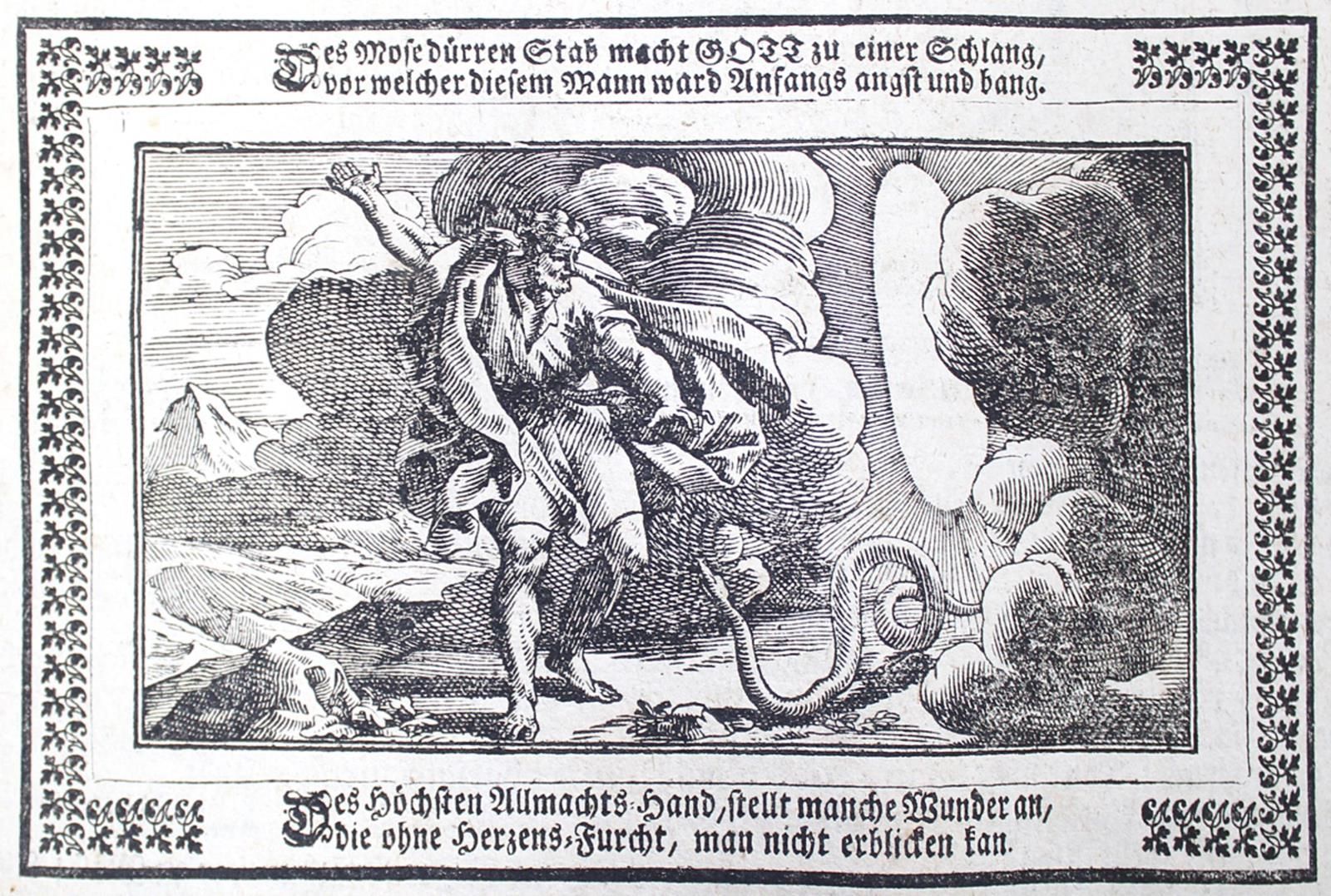 Biblia germanica. 德国路德圣经的广泛片段（加时赛和新台币），可能来自18世纪初的福尔。带着些许姿态。标题，1个整版的GEST。路德的肖像和大量&hellip;