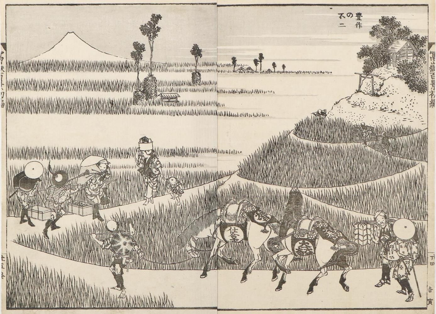 Hokusai, Katsushika (1760-1848).丰收的稻田上的富士山（第一卷）--《细作的富士》。双页散页从。富士山百景--富士山百景。1849&hellip;