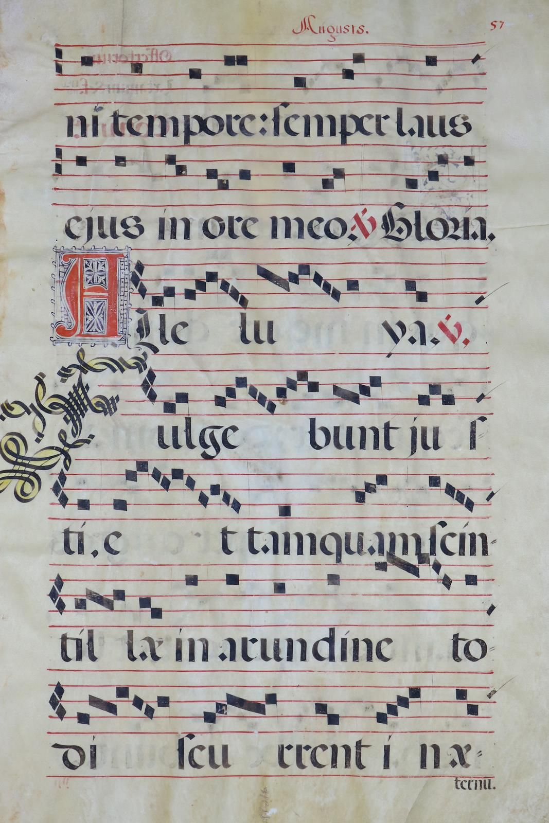 Antiphonar. 2 pl. (reliés) d'un antiphonaire, vers 1500. Parchemin. Ecriture lat&hellip;