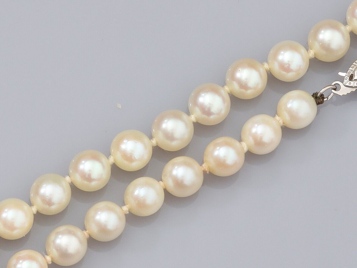 Null Collier de perles de culture Akoya de diamètre 6/6.5 mm, fermoir fuseau en &hellip;
