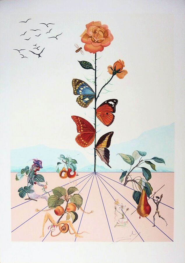 Null DALI Salvador (1904 1989) - [Flordali II - La rose papillon], 1981. Lithogr&hellip;
