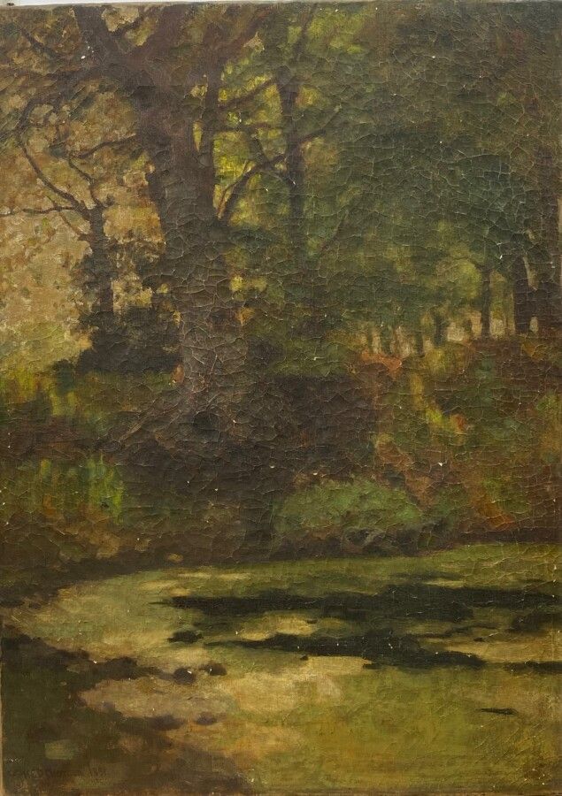 Null Henry C. D. CHORLTON (act. C. 1887-1926): "View of Undergrowth". Oil on can&hellip;