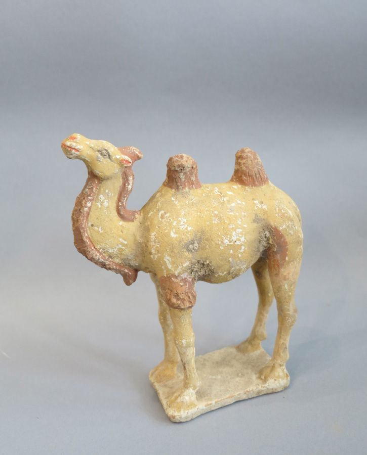 Null 骆驼站在一个长方形的平台上。

中国。唐朝。公元618年至907年。

17x6x21厘米