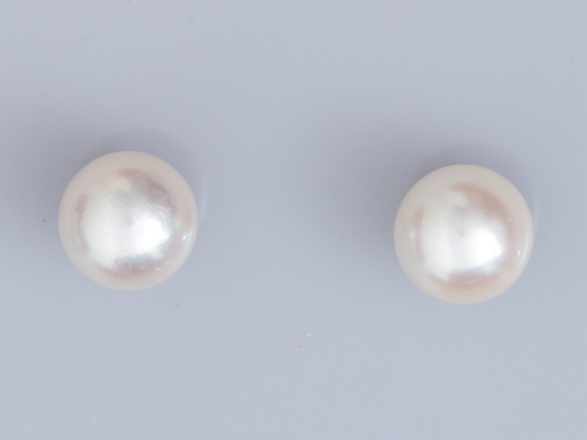 Null 800银耳环一对，镶嵌Akoya养殖珍珠，直径8/8.5毫米，重2.1克。750°/°(18K)黄金安全扣（鹰头和野猪标志）。