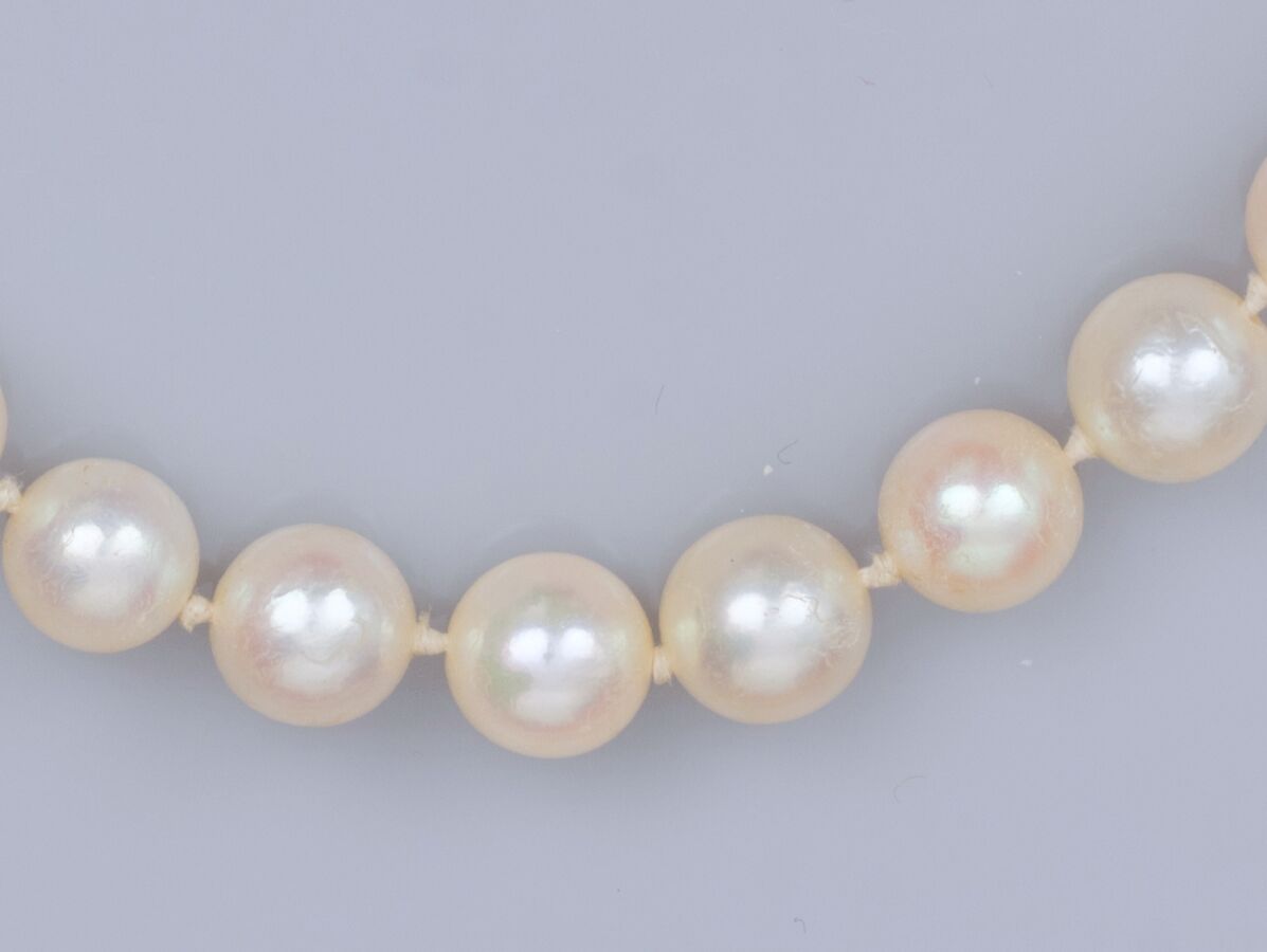 Null MIKIMOTO 阿古屋养殖珍珠项链，直径6.5/7毫米，585°/°(14K)白金扣，镶嵌一颗养殖珍珠。签名。长：42.5厘米