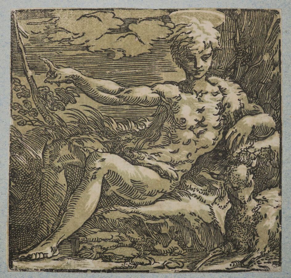 Null 特伦托-安东尼奥-达（1520-1550）--"沙漠中的年轻施洗者约翰"，约1527-1530。模仿帕尔米吉尼奥的千手观音木刻，以双色印刷。参考资料：&hellip;