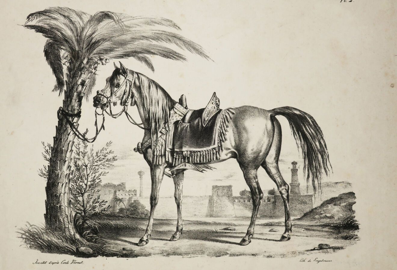 Null VERNET Carle (1758 1836) (后) - "阿拉伯马及其装备"。杰恩特石版印刷的。与信的证明，在编织纸上。由恩格尔曼印刷。边缘。2&hellip;