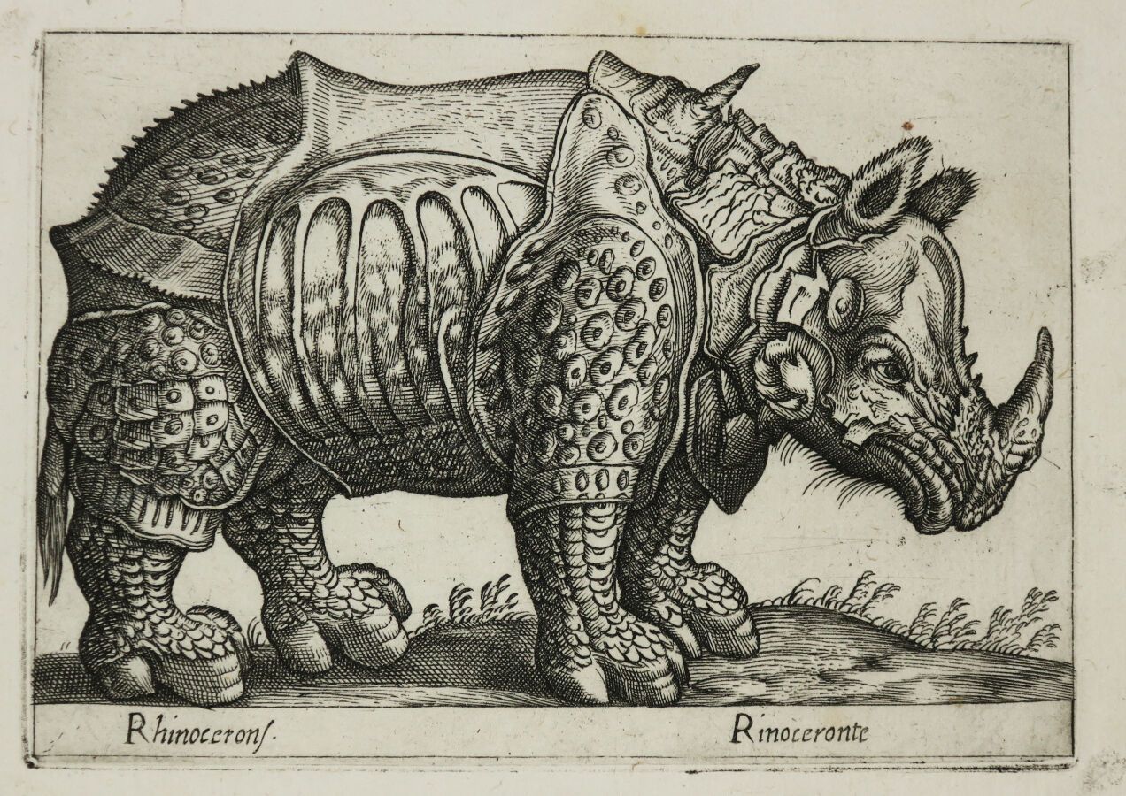 Null TEMPESTA Antonio (1555 - 1630) - RHINOCEROS。"Rhinocerons/Rinoceronte"，约1620&hellip;