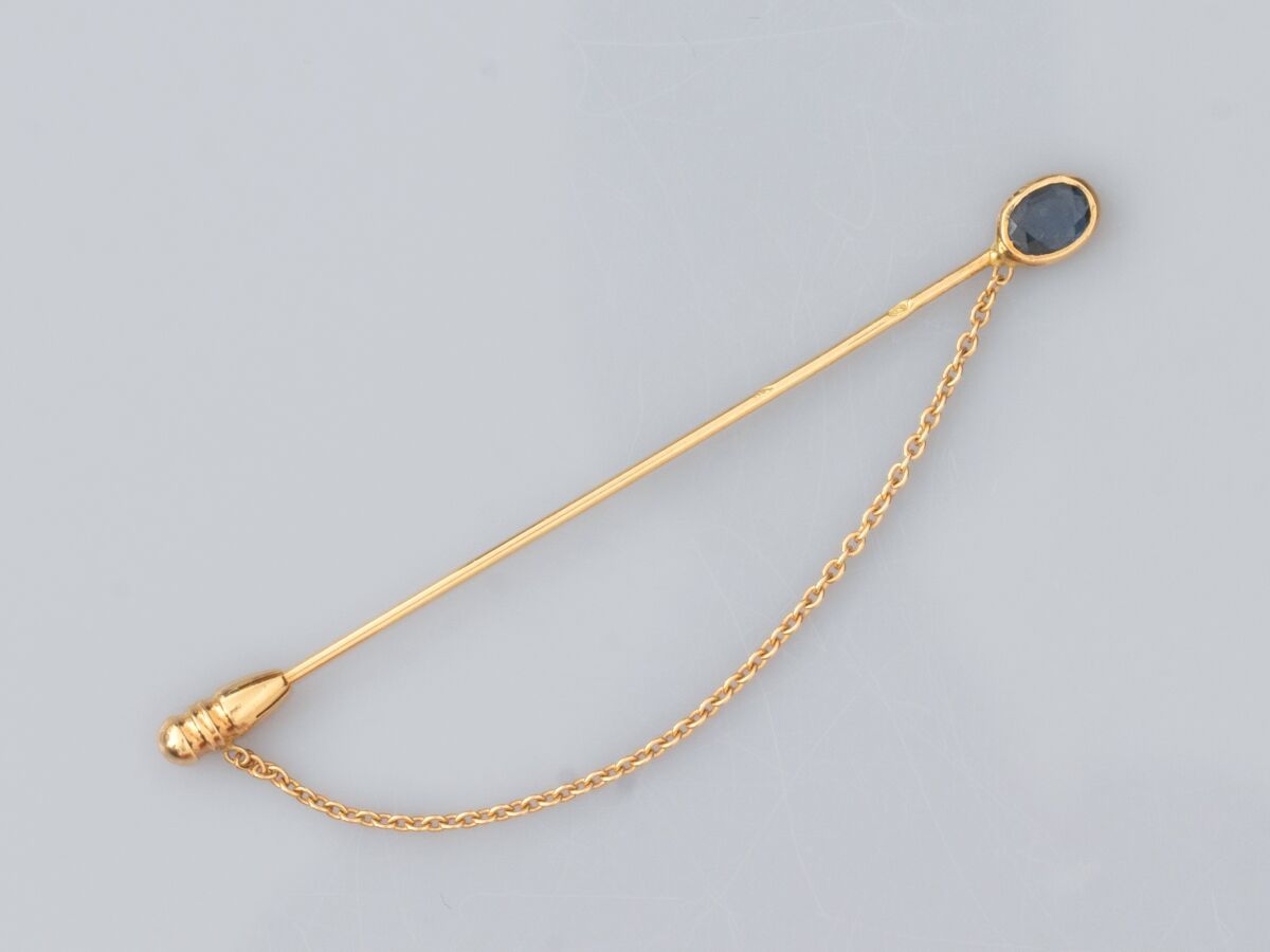 Null 750°/°(18K)黃金精緻胸針，鑲嵌一顆小型橢圓形藍寶石。1.6 g.长：5.9厘米。标有鹰头的标志