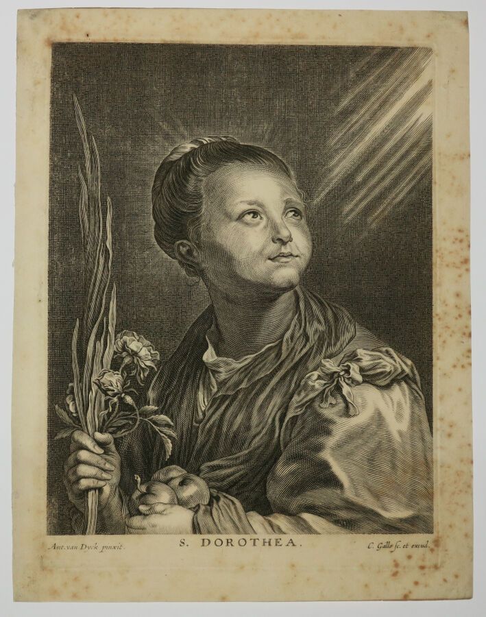 Null VAN DYCK Anton (d'après) (1599 - 1641) - "S. DOROTHEA". Burin gravé et publ&hellip;