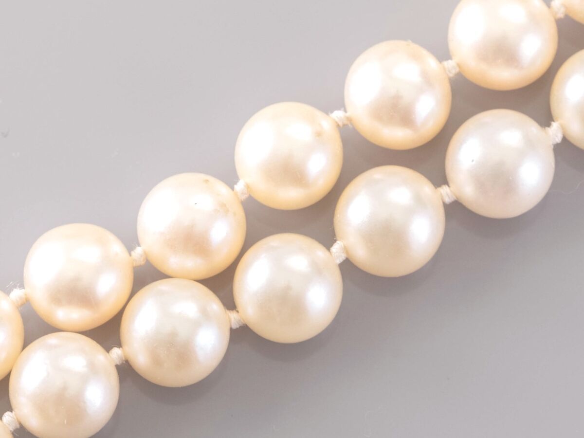 Null Collier de perles de culture Akoya de diamètre 8.3 à 9 mm, fermoir dans une&hellip;