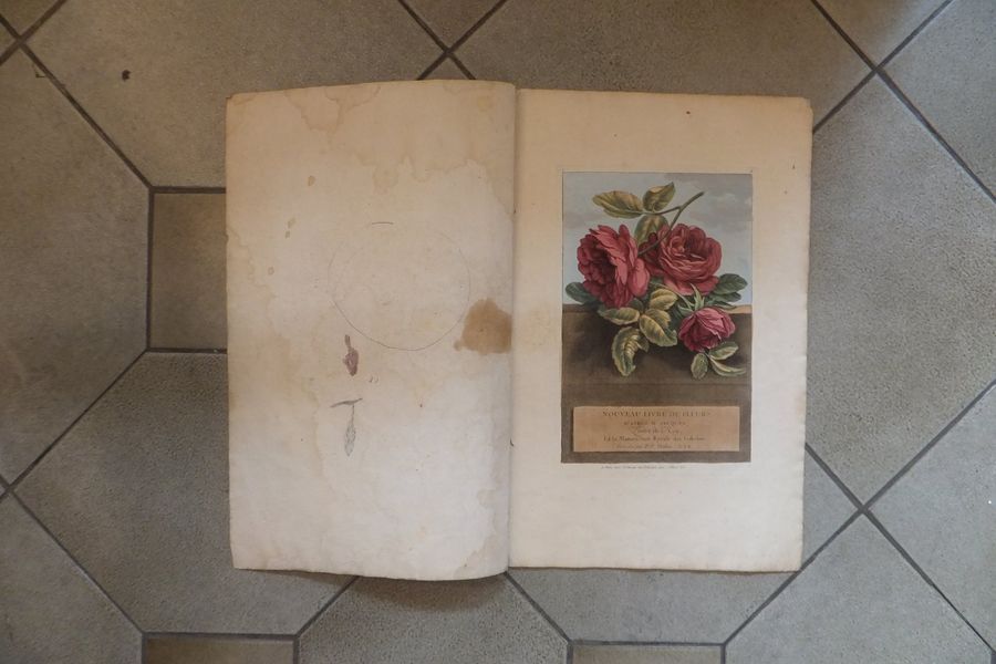Null FLEURS - GRAVURES, Nouveau livre de Fleurs, 5 gravures de fleurs + 1 fronti&hellip;