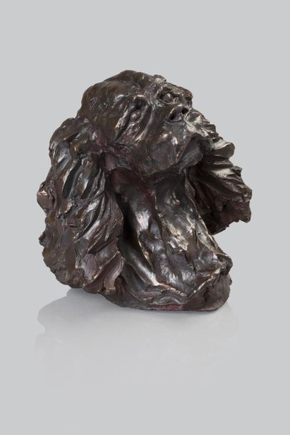 Null José Maria DAVID (1944 - 2015)
"Tête du chien Griotte"
Sculpture en bronze &hellip;