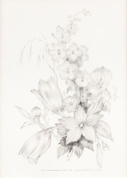 Null Jean Adrien MERCIER (1899-1995) 
Composition florale 
Crayon sur papier 
35&hellip;