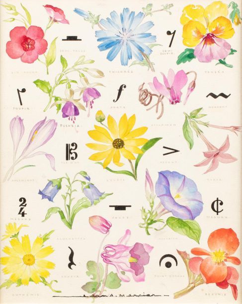 Null Jean Adrien MERCIER (1899-1995) 
Fleurs 
Aquarelle, traits de crayon et enc&hellip;