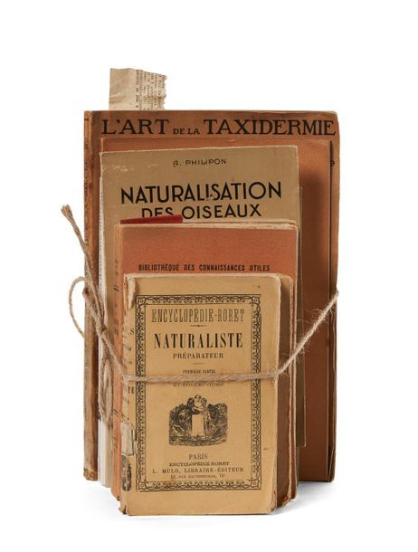 Null HUIT MANUELS DE TAXIDERMIE
Manuels-Roret, Naturaliste préparateur, 1ère et &hellip;