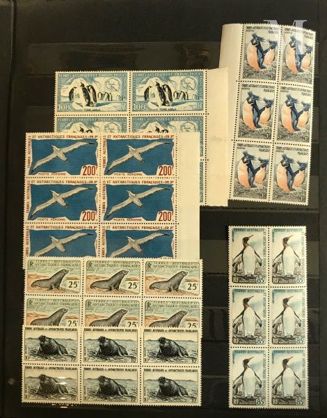 Ensemble présenté en 3 classeurs timbres des TAAF et de FRANCE ** période 1960-1&hellip;