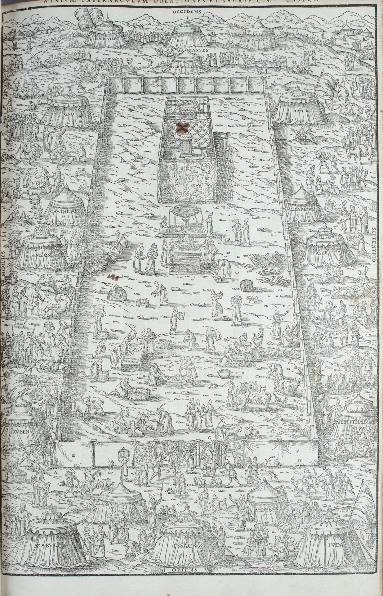 BIBLE. Biblia sacra. Lyon, Jean de Tournes, 1556. Infolio, rehbraunes Kalb, Deko&hellip;