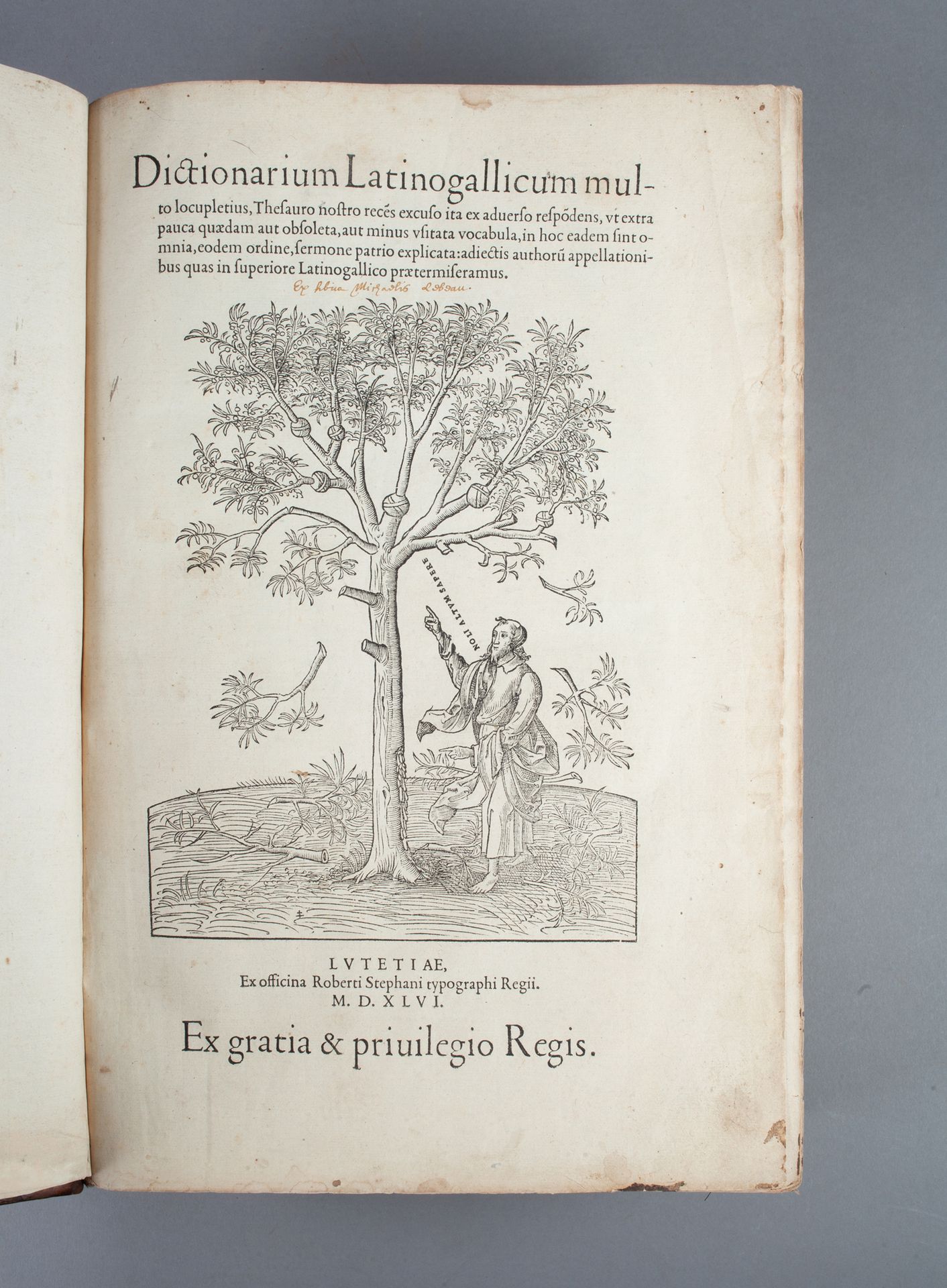 ESTIENNE (Robert). Dictionarium Latinogallicum multo locupletius. París, Robert &hellip;