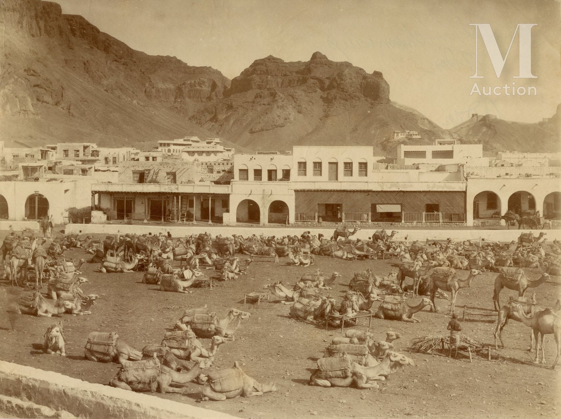 YEMEN Aden, vue générale, le marché aux chameaux, c. 1875-1880

2 tirages albumi&hellip;